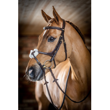 Brida LeMieux Grackle Havana Marr&amp;amp;amp;oacute;n