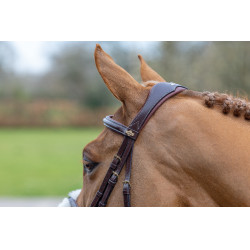 Brida LeMieux Grackle Havana Marr&amp;amp;amp;oacute;n