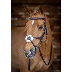 Brida LeMieux Grackle Havana Marr&amp;amp;amp;oacute;n