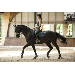 Protectores y protectores de menudillo Lami-Cell Aurora Azul