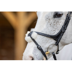 Brida LeMieux Grackle Negro Brida LeMieux Grackle Negro