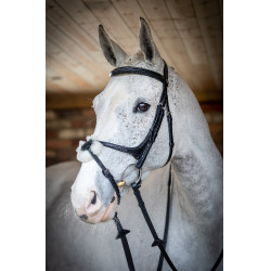 Brida LeMieux Grackle Negro Brida LeMieux Grackle Negro