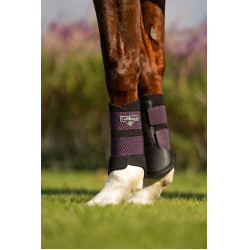 Protectores LeMieux Grafter Higo Violeta Protectores LeMieux Grafter Higo Violeta