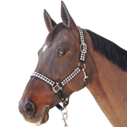 Juego de correas Canter Halter + Pata de gallo