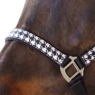 Set Halfter + Cuerda de guía Hahnentritt Canter Set Halfter + Cuerda de guía Hahnentritt Canter