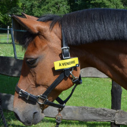 velcro HippiCode velcro HippiCode