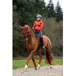 Mantilla LeMieux Loire Classic Dressage Square Mantilla LeMieux Loire Classic Dressage Square