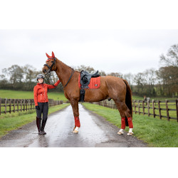 Mantilla LeMieux Loire Classic Dressage Square Mantilla LeMieux Loire Classic Dressage Square