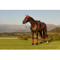 Mantilla LeMieux Loire Dressage Square Sienna Rojo