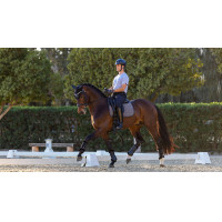 Almohadilla de doma LeMieux Le Cool Grip Gris