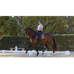 Almohadilla de doma LeMieux Le Cool Grip Gris