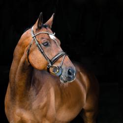 Cabezada Anatómica Clermont Horze Cabezada Anatómica Clermont Horze