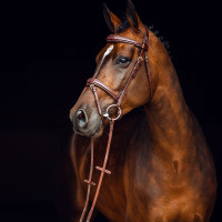 Filet Sion met teugels Horze Castaño Marr&amp;oacute;n