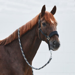 Cabezada de Cuadra con Polar Kiel Horze Negro