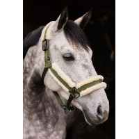 Cabezadade Cuadra con Revestimiento de Piel Sintético Marquess Horze Azul Egeo Cabezadade Cuadra con Revestimiento de Piel Sintético Marquess Horze Azul Egeo