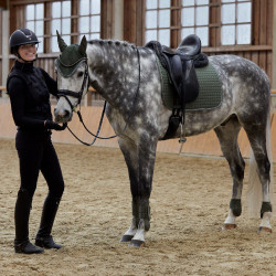 Protectores de Tendón Adepto Horze Escarabajo verde caqui