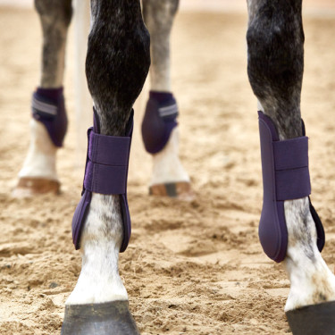 Protectores de Tendón Adepto Horze Grosella negra Violeta