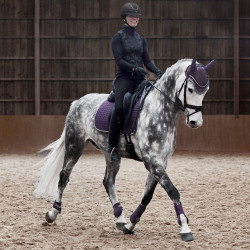 Protectores de Tendón Adepto Horze Grosella negra Violeta