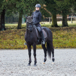 Protectores de Tendón Adepto Horze Marrón oscuro