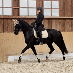 Protectores de Tendón Adepto Horze SBR Blanco Protectores de Tendón Adepto Horze SBR Blanco