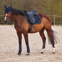 Protectores de Neopreno Marquess Horze Azul marino oscuro