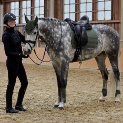Protectores de Menudillo Adepto Horze Escarabajo verde caqui Protectores de Menudillo Adepto Horze Escarabajo verde caqui