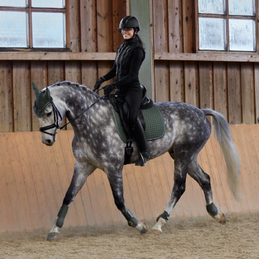 Protectores de Menudillo Adepto Horze Escarabajo verde caqui Protectores de Menudillo Adepto Horze Escarabajo verde caqui