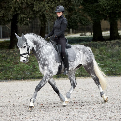 Protectores de Menudillo Adepto Horze Gris acero Protectores de Menudillo Adepto Horze Gris acero