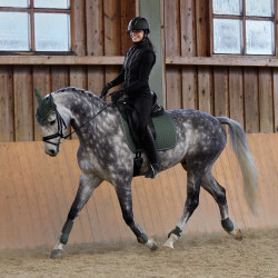 Zadeldek veelzijdig Adepto Horze Escarabajo verde caqui