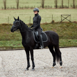 Mantilla de Uso General Adepto Horze Negro Mantilla de Uso General Adepto Horze Negro