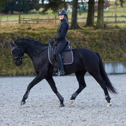 Mantilla de Uso General Adepto Horze Marrón oscuro Mantilla de Uso General Adepto Horze Marrón oscuro