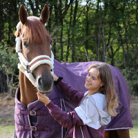 Cabezada de cuadra Pénélope Soft Negro / beige Cabezada de cuadra Pénélope Soft Negro / beige