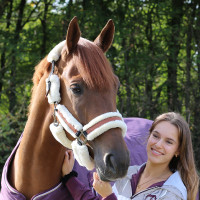 Cabezada de cuadra Pénélope Soft Negro Cabezada de cuadra Pénélope Soft Negro