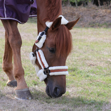 Cabezada de cuadra Pénélope Soft Negro / beige