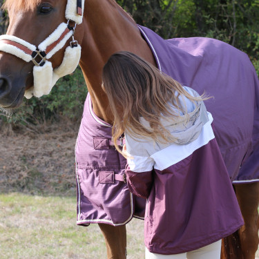 Cortavientos Pénélope Celecce Ciruela Violeta