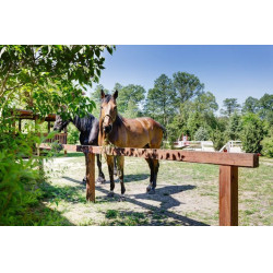 copy of Emparrillado Challenger Confort Cheval copy of Emparrillado Challenger Confort Cheval