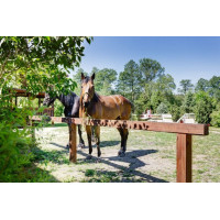 Losas estabilizadoras Stab-Max Losas estabilizadoras Stab-Max