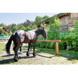 copy of Emparrillado Challenger Confort Cheval copy of Emparrillado Challenger Confort Cheval