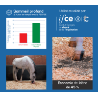 Colchón de box Pégase Colchón de box Pégase