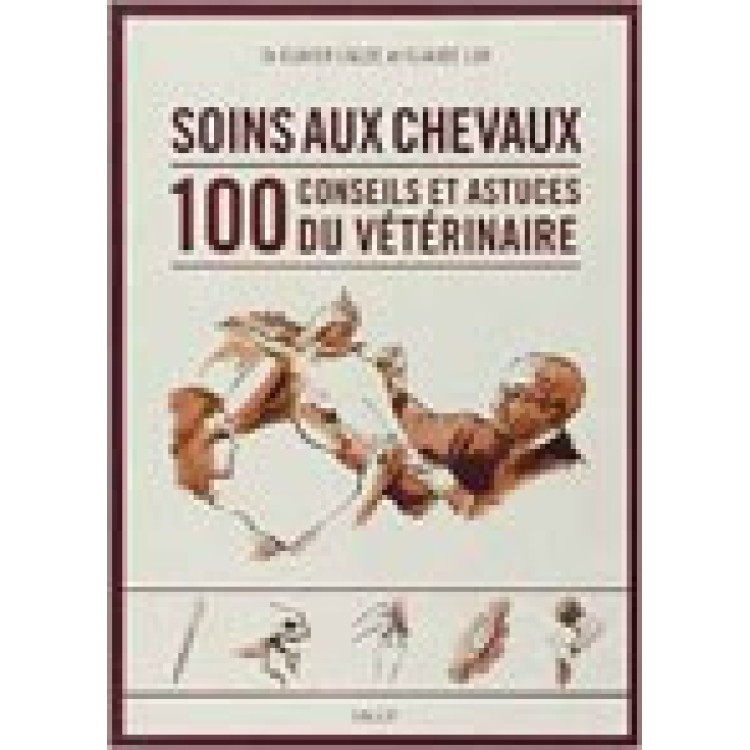 Cuidados para caballos: 100 consejos y trucos del veterinario