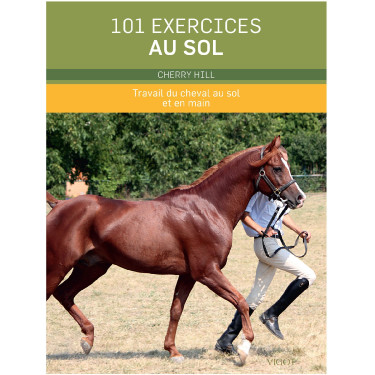 101 ejercicios en el suelo
