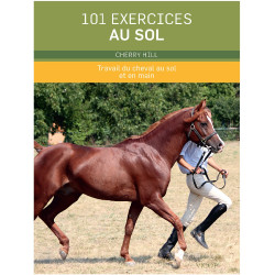 101 ejercicios en el suelo