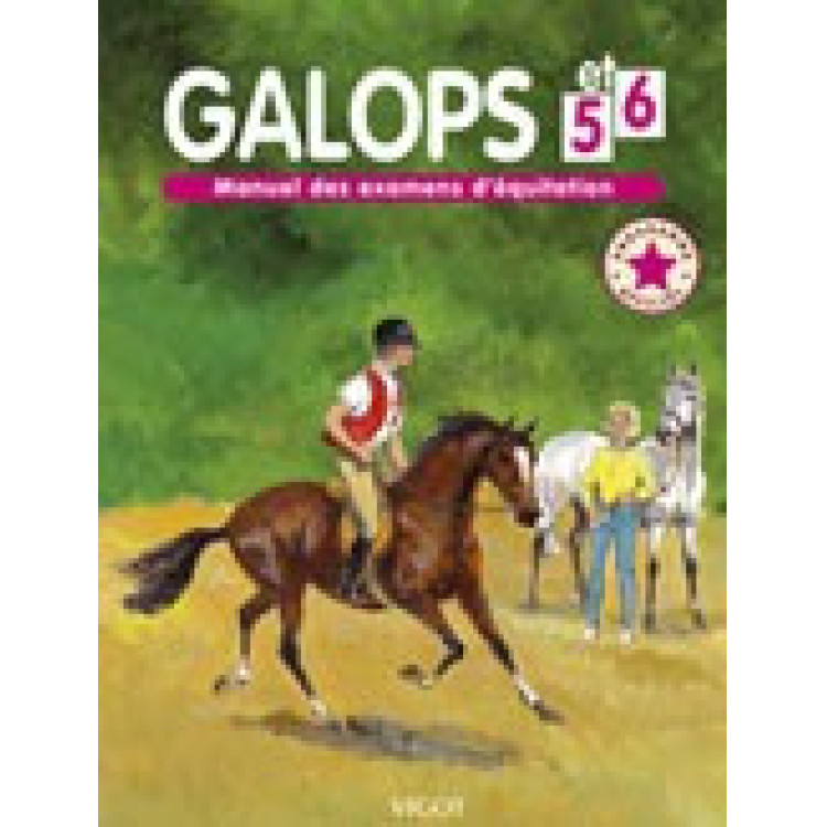 Galopes 5 y 6
