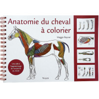 Anatomía del caballo para...