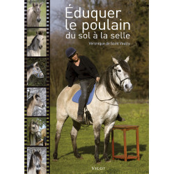 Educar al potro desde el suelo hasta la silla Educar al potro desde el suelo hasta la silla