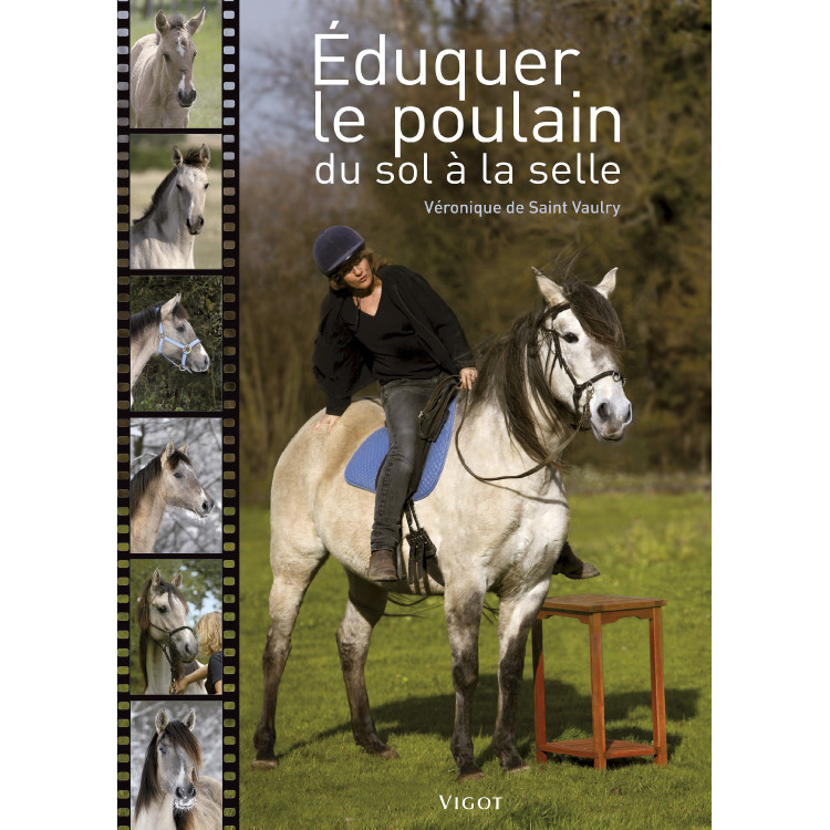 Educar al potro desde el suelo hasta la silla Educar al potro desde el suelo hasta la silla
