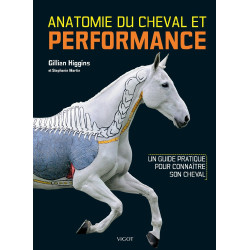 Anatomía del caballo y rendimiento