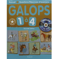 Aprobar los Galopes 1 a 4