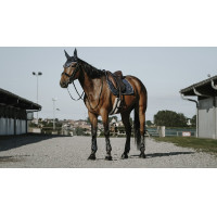 Orejeras antimoscas Equithème French Touch Negro