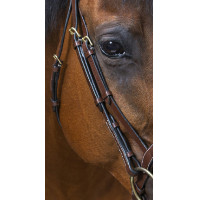 Bridon Eric Thomas Pro Wave Negro